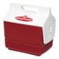 4 Qtz Cooler | Igloo Playmate Mini | Ice Box | Organ Transport Cooler